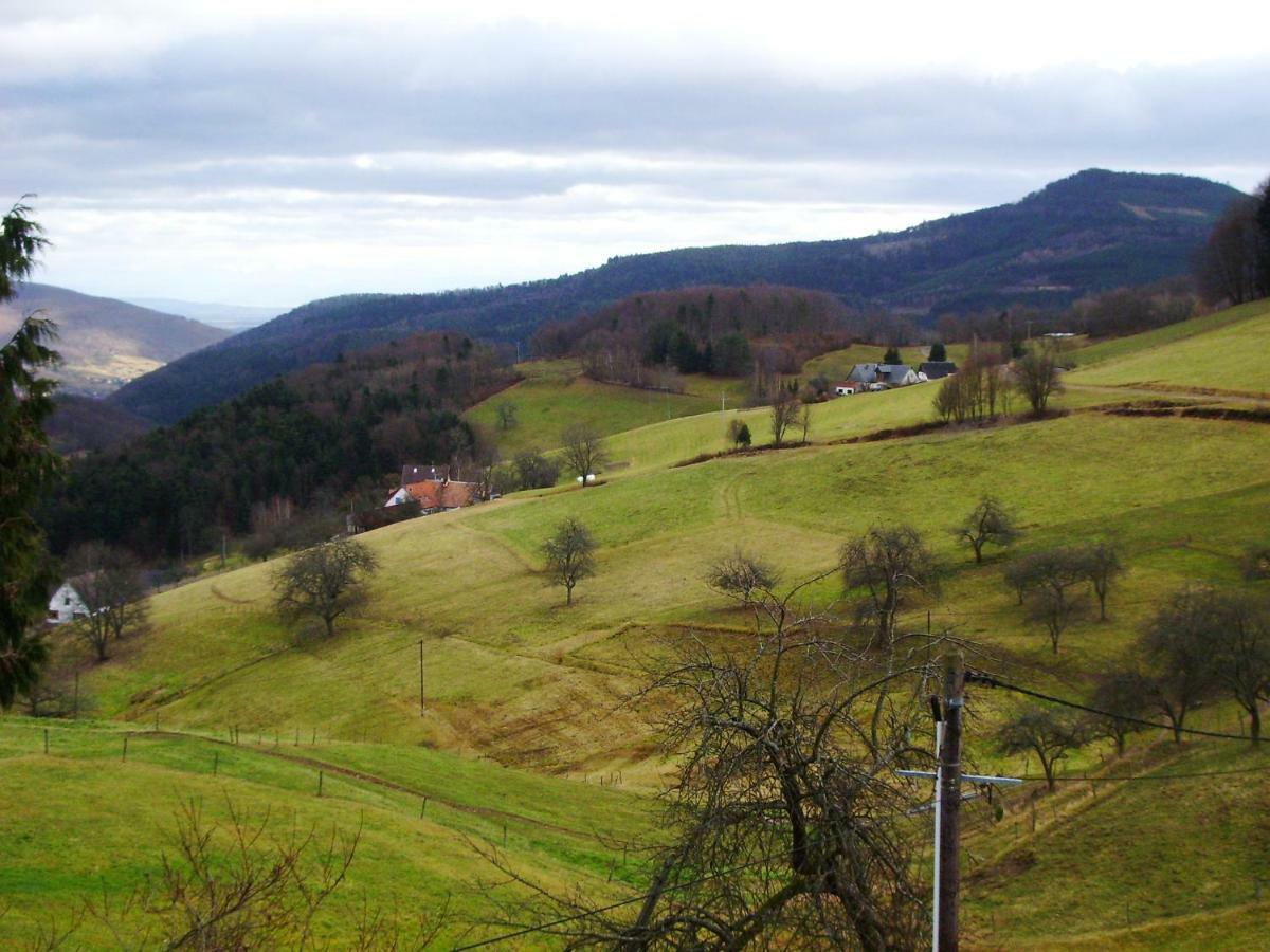 Hebergement Du Chene Fréland المظهر الخارجي الصورة